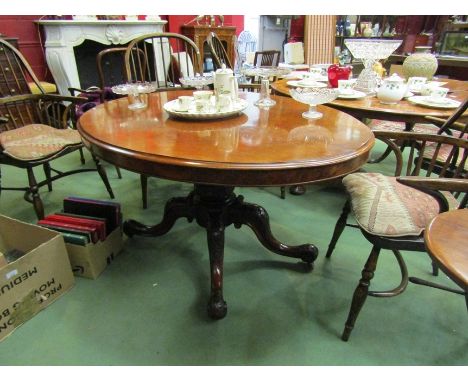 A circa 1860 burr walnut quarter veneer oval tilt top table on a turned and carved base with scroll carved legs on white cera