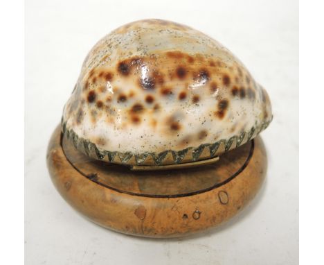 Brass mounted cowrie shell snuff box, together with a circular burr wood snuff box 