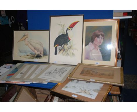 A quantity of Pictures including a pair of clip framed oriental prints, Eleanor Clayforth print 'Following Glorfindel', two b