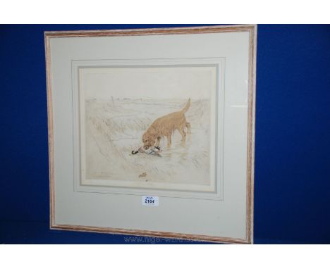 A signed limited edition Vernon Stokes (1873 - 1954) Print of a Retriever with a duck in it's mouth, no. 47/75, 10 1/2'' x 12