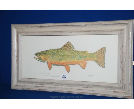 A framed Print by K. Catt of a Brook Trout, 21 1/4'' x 9 1/2''.