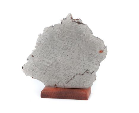 Muonionalusta meteorite , Polished Slice, 332ga polished slice of Muonionalusta meteorite, showing the internal structure, 11
