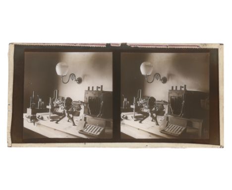 Stereo Diapositive of a Baker Microscope Set up for Macrophotography, Standard sized stereo diaposotive slide showing a Baker