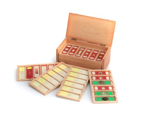 Good Clean Collection of 57 Victorian Microscope Slides,Later polished pine flip front case containing a collection of very w