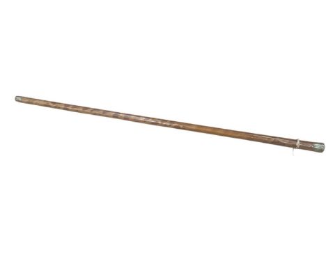 Late 19th/early 20th century gentlemen’s walking cane with Malacca shaft, decorated with painted Tiger stripes and a silver p