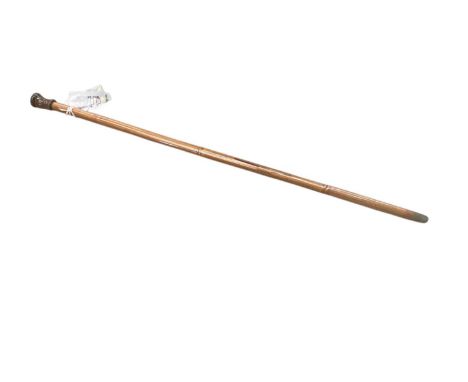 Victorian dart blowpipe walking stick with Bamboo shaft, turned horn mouthpiece, removable horn mounted handle and screw ferr