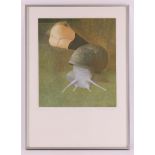 Muller, Wout (Hilversum 1946 - Ireland 2000) 'Snail',