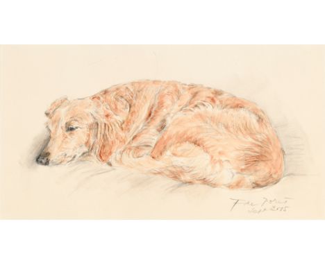 François de Poret (1933), Labrador, 2015, aquarelle et fusain sur papier, signée et datée "sept 2015", 25x46,5 cm (à vue)  
P