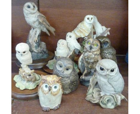 Nine figures of owls including Border Fine Arts and Poole