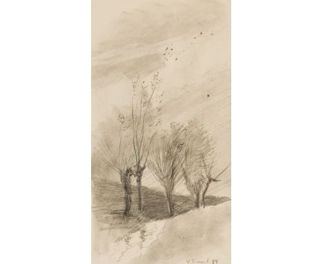 EMILIE MEDIZ-PELIKAN ( Vöcklabruck 1861 - 1908 Dresden )Birken im Karst, 1894Kohle/Papier 24,1 x 13,4 cmdatiert 4 Novemb 94SC