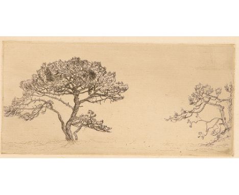 HELENE FUNKE* ( Chemnitz 1869 - 1957 Wien )Pinien, 1912Kaltnadelradierung/Papier (Zustandsdruck) 11,5 x 23,4 cmabgebildet im 