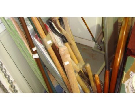 Assorted garden tools