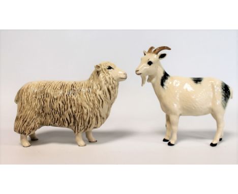 Two Beswick figures: Cotswold Sheep, no. 4122, 11cm high and Nigerian Pot-Bellied Pygmy Goat, no. G223, 14cm high. Both gloss