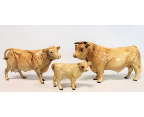 Three Beswick figures: Charolais Bull, no. 2463A, 12.7cm high; Charolais Cow, no. 3075A, 12.7cm high and Charolais Calf, no. 