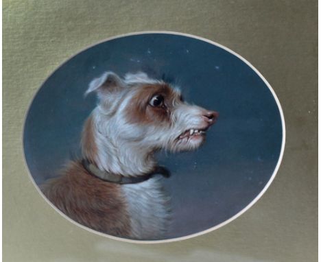 Martin Theodore Ward (1799 - 1874) "Portrait of a white and tan Terrier (head and shoulders) O.O.B., signed with monogram low