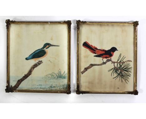Thomas Lewin, British (1774 - 1840)A collection of 6 original Bird Drawings, (4 oval and 2 rectangular) drawn and painted fro