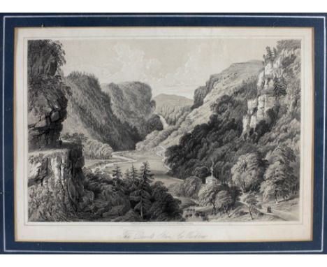 Print: Co. Wicklow:  "The Devils Glen, Co. Wicklow," a coloured lithograph published by Newman &amp; Co., No. 48 Watling St.,