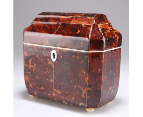 A FAUX TORTOISESHELL TEA CADDY, IN REGENCY STYLE, rectangular with canted corners, the hinged lid opening to reveal twin lidd