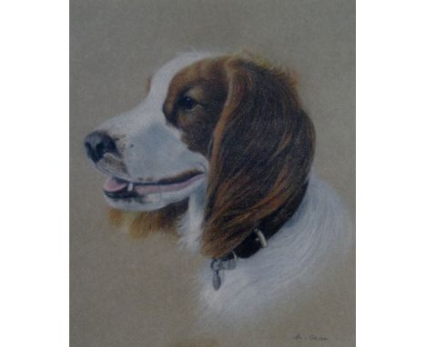 Mabel Gear (1900 - 1997), portrait of a spaniel, signed pastel, 23cm x 18cm, gilt frame DDS