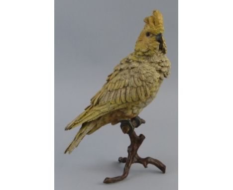 An Austrian cold painted bronze figure of a cockatoo, perched on a tripod branch base inscribed "Geschutzt" with the Bergmann