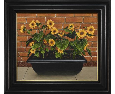 GRAHAM H D MCKEAN,SUNFLOWERS IN A BLACK PLANTER TROUGHoil on canvas, signed, titled versoimage size 48cm x 58cm, overall size