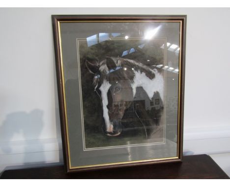MARY BROWNING (XX) 2018: Horse portrait "MONTY", pastel, framed and glazed, 46cm x 36cm 