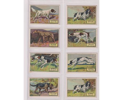 Trade cards, Peterkin, English Sporting Dogs, 'M' size (set, 8 cards, mixed backs) (gd/vg)