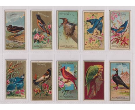 Cigarette cards, USA, Allen &amp; Ginter, Birds of America (set, 50 cards) (1 with  very slight back damage, a few with light