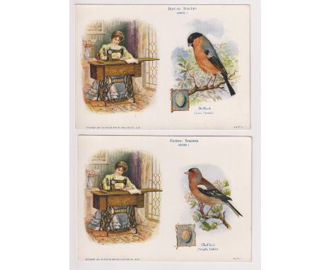 Trade cards, Singer, USA, British Singers (Birds &amp; Eggs), set of 8 'XL' cards, 176mm x 125mm with split image, bird &amp;