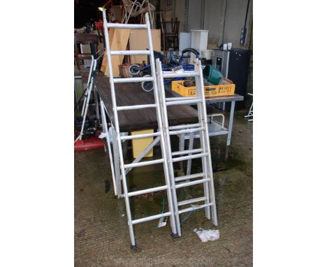 Sectional ladder 115'' long