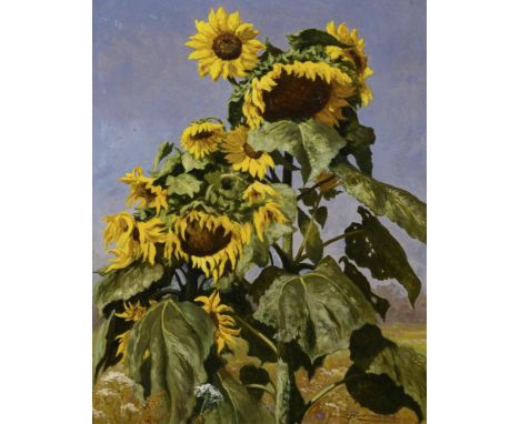                     FROMMHOLD,             Ernst(1879 Leipzig - 1955)    SonnenblumenÖl/Malkarton. Rechts unten signiert. 76 