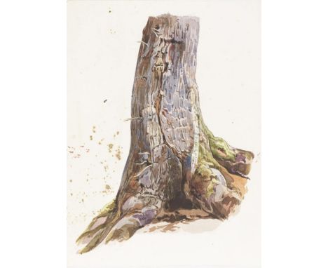                     FROMMEL,             Carl Ludwig zugeschrieben(1789 - 1863)    BaumstudieAquarell. Unsigniert, verso beze
