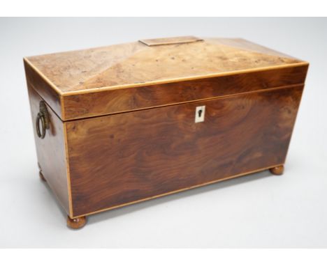 A Regency burr yew tea caddy (partly sun-bleached). 33cm wide Ivory submission reference: 1JYSY7TC