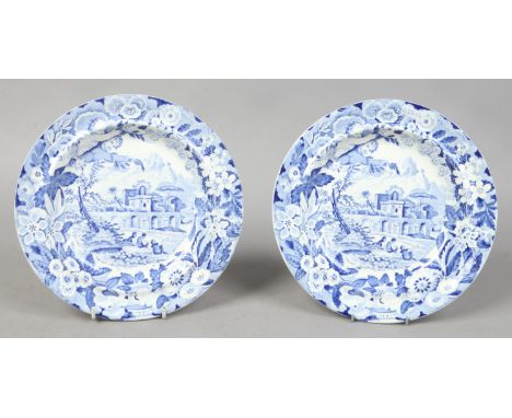 Two Don pottery plates printed with named Italian landscapes, Naval Amphitheatre.&nbsp;