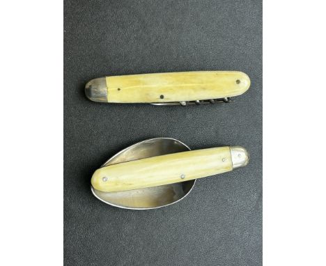 Campain bone handle fork and spoon