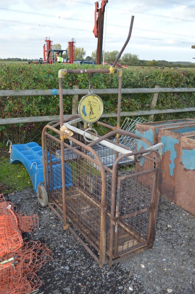 Gasgoine pig scales.