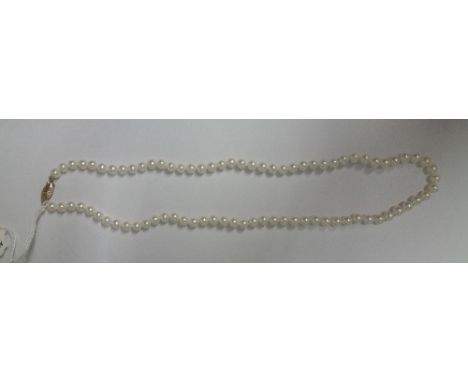 A Cultured Pearl Necklace with a 9ct Gold Clasp.