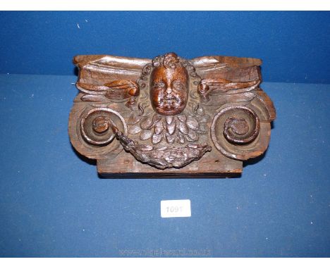 An early Oak Bracket carved with a cherub in high relief. 10" across, 6 1/4'' tall