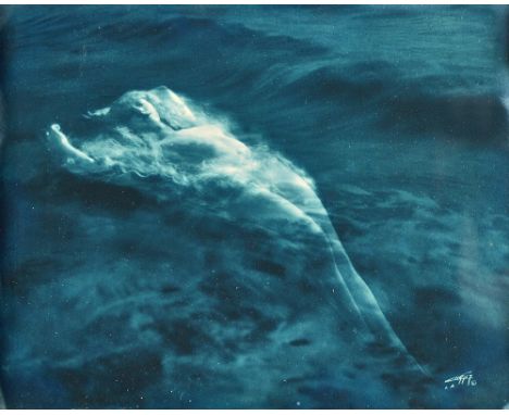 EDWARD SHERIFF CURTIS  (1868 - 1952)  Aphrodite (Spirit of the Sea), ca 1920 - 1930.
blue toned gelatin print, signed, with t