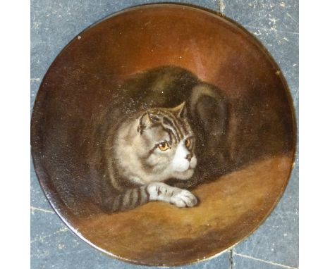 Continental School (19th Century), Portrait of a tabby cat, indistinctly signed S*****, oil on board, 22cm tondo.