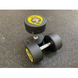 Rockit 38kg Dumbbell x2