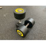 Rockit 50kg Dumbbell x2