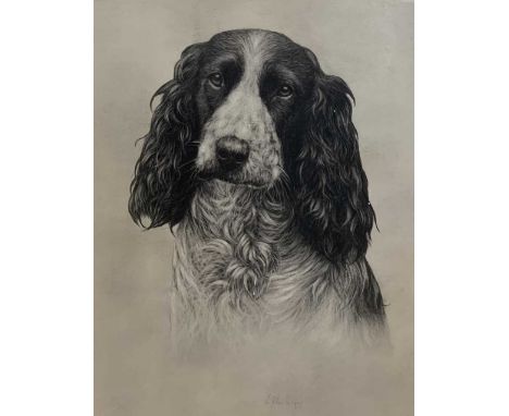 W.Clark (British, 20th century) portrait of Spaniel, charcoal heightened in white, signed and dated 1927,11.5x15ins, framed a