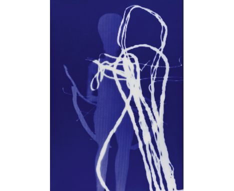 Jürgen Klauke, Menschenbild (aus dem Prosecuritas-Zyklus)C-Print unter Plexiglas (Diasec). 265,5 x 185,5 cm. Rückseitig auf d