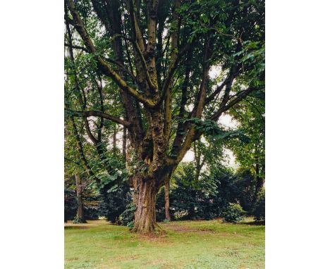 Thomas Ruff, h.e.k.03 (aus der Serie: l.m.v.d.r.)C-Print auf Kodak-Professional-Papier unter Plexiglas (Diasec). 172,5 x 129,