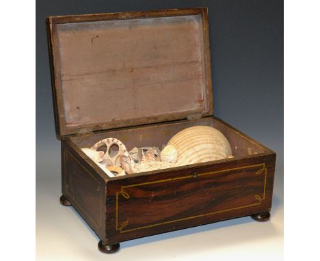 A 19th century simulated rosewood sarcophagus box, hinged cover, now containing a collection of sea shells and natural histor