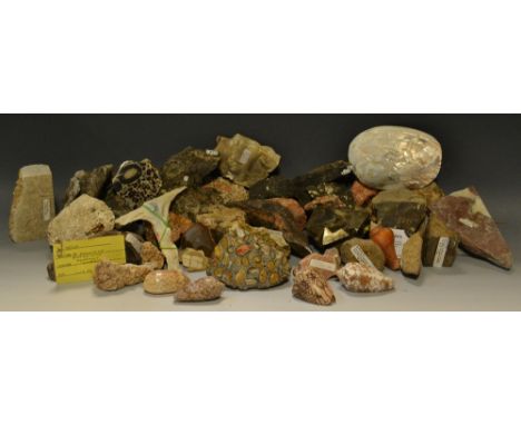 Geology and Conchology - various specimens including pyrite, Hertfordshire pudding stone; various Scottish geological samples