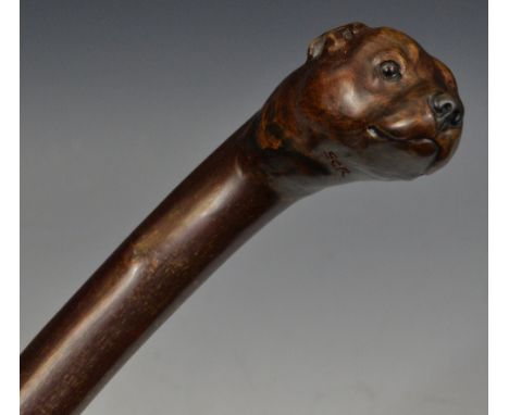 A Stan Randall blackthorn one piece walking stick, carved with a Staffordshire Bull Terrier mask, signed under chin 