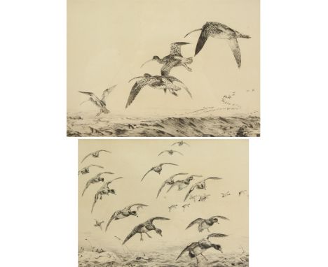 Winifred Marie Louise Austen (British 1876-1964): Snipe and Ducks in Flight, pair etching signed in pencil max 23cm x 31cm (2