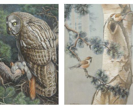 William Hutton Riddell (British 1880-1947): Owl with Mouse and Birds in a Birch Tree, pair watercolours and gouache signed  3
